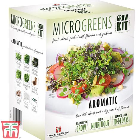 Seed Grow Kit Microgreens Aromatic