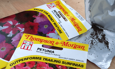 Petunia Seed Packet from T&M